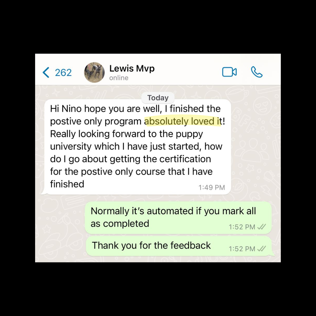 STSK9 Master View Path Dog Training Certification Program