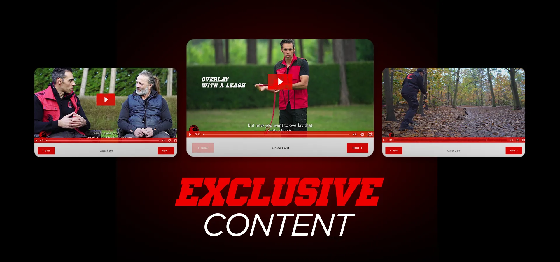 STSK9 Master View Path Dog Training Certification Program