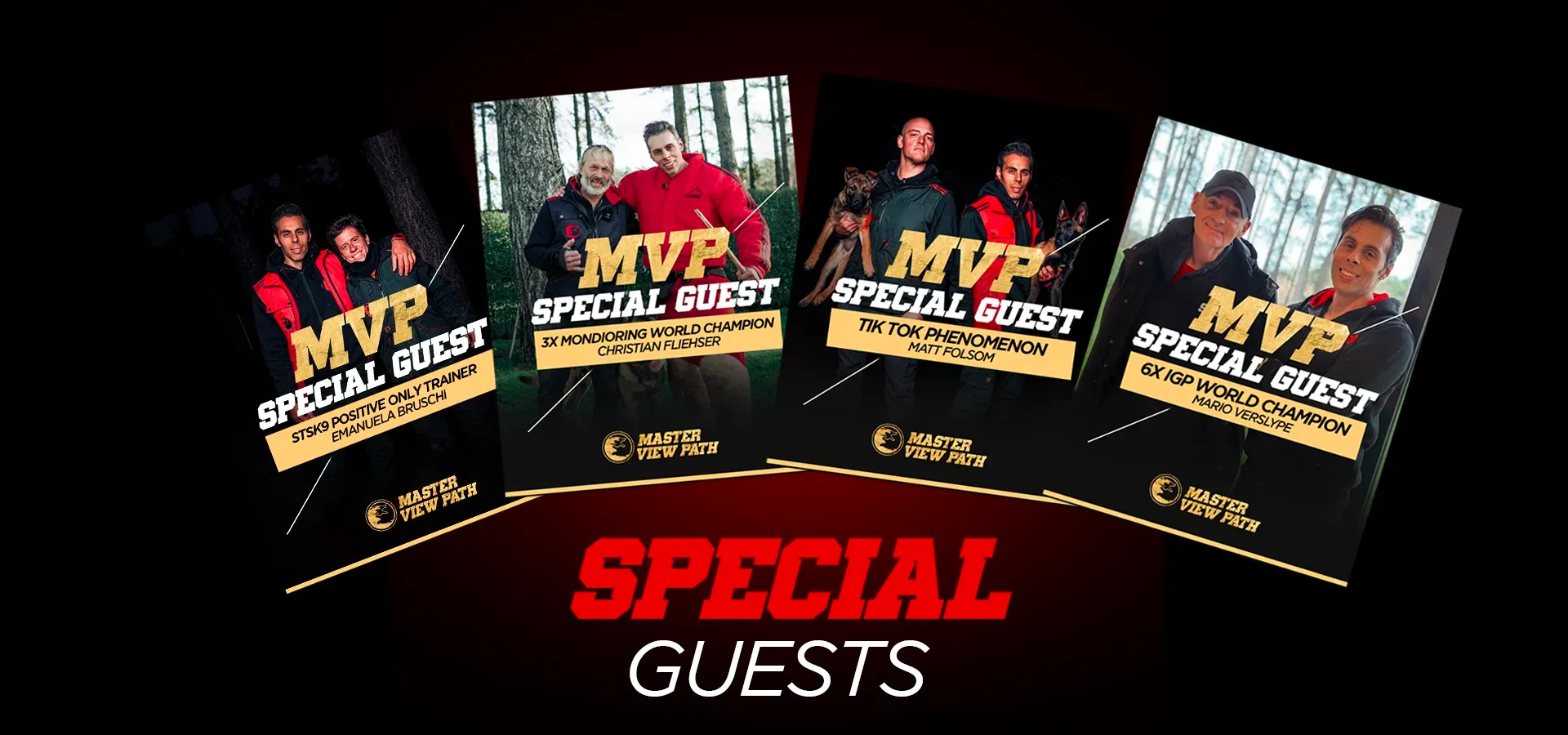 STSK9 Master View Path Dog Training Certification Program