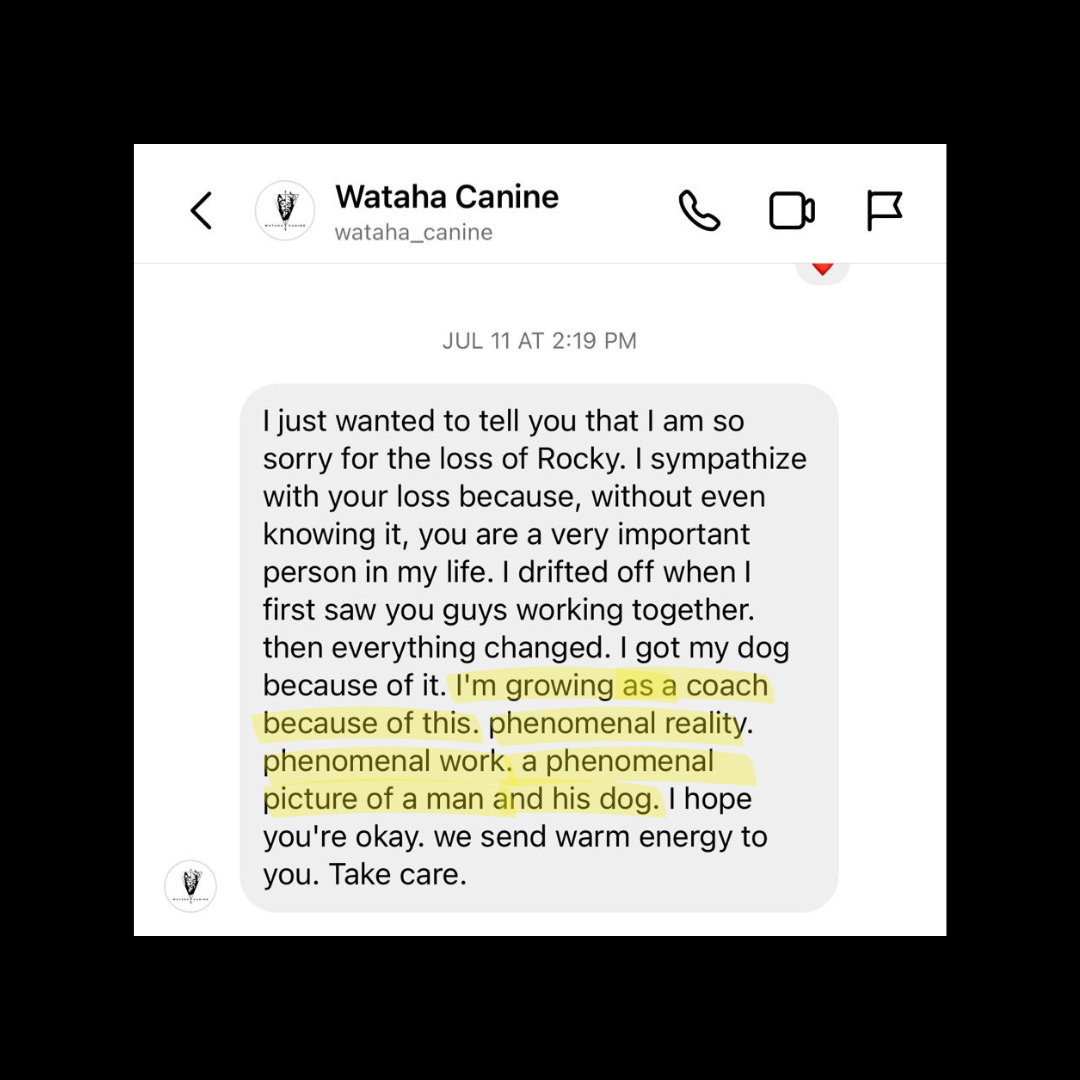 STSK9 Master View Path Dog Training Certification Program