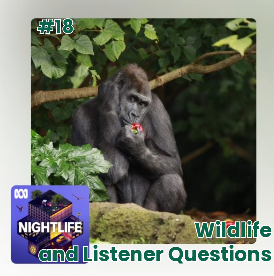 Bel talks Ep 14 Clothing