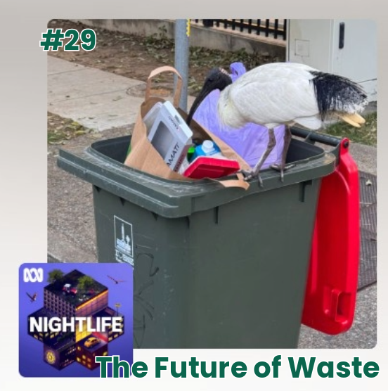 Bel talks Ep 14 Clothing