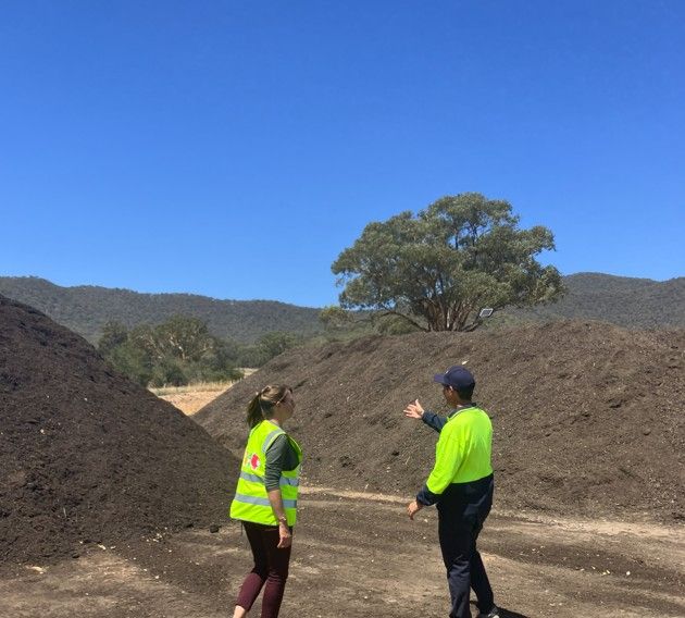 Belinda Chellingworth