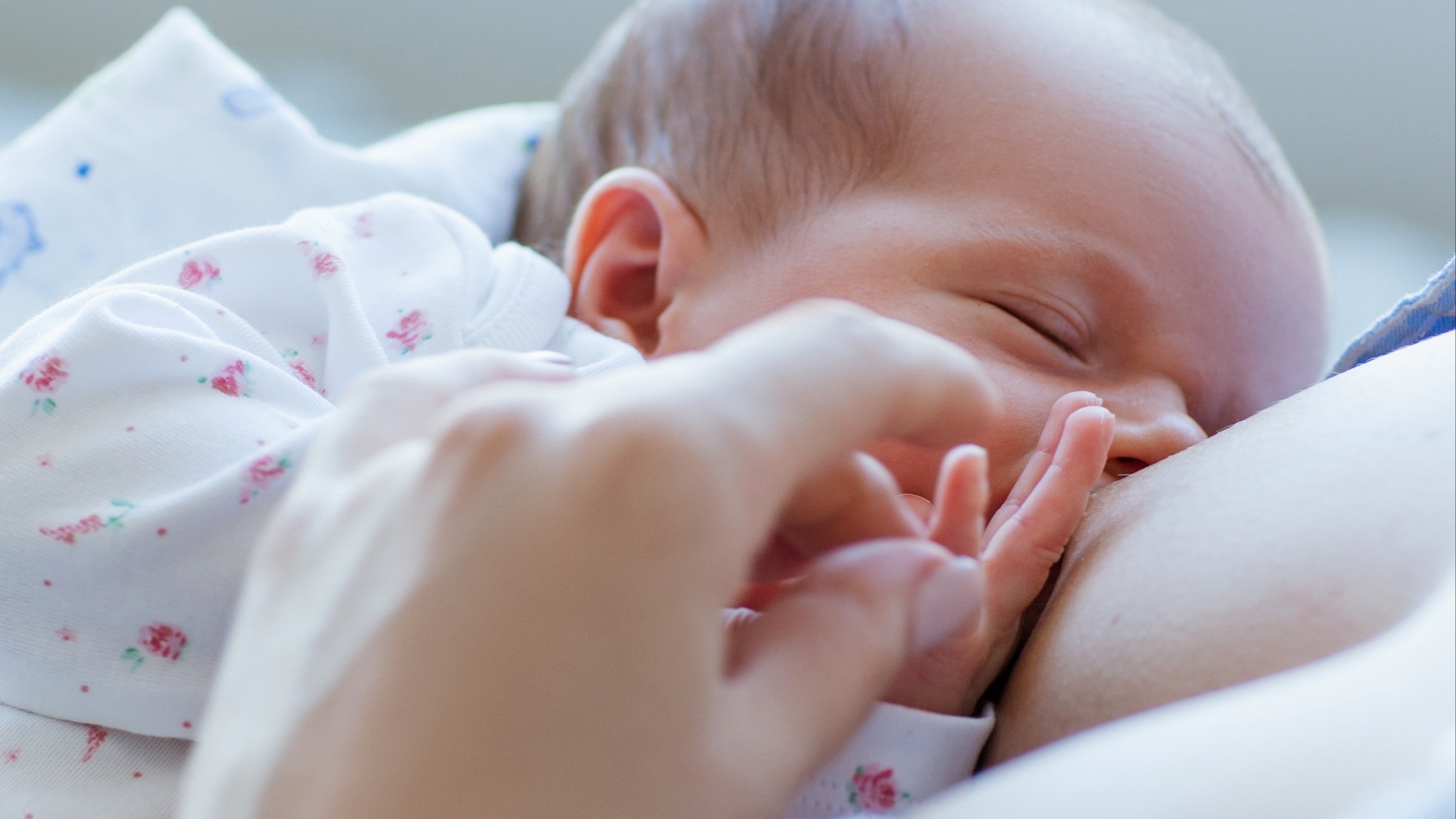 Newborn baby breastfeeding with large breasts