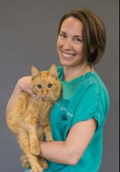 RACE Approved Online CE for Veterinary Continuing Education