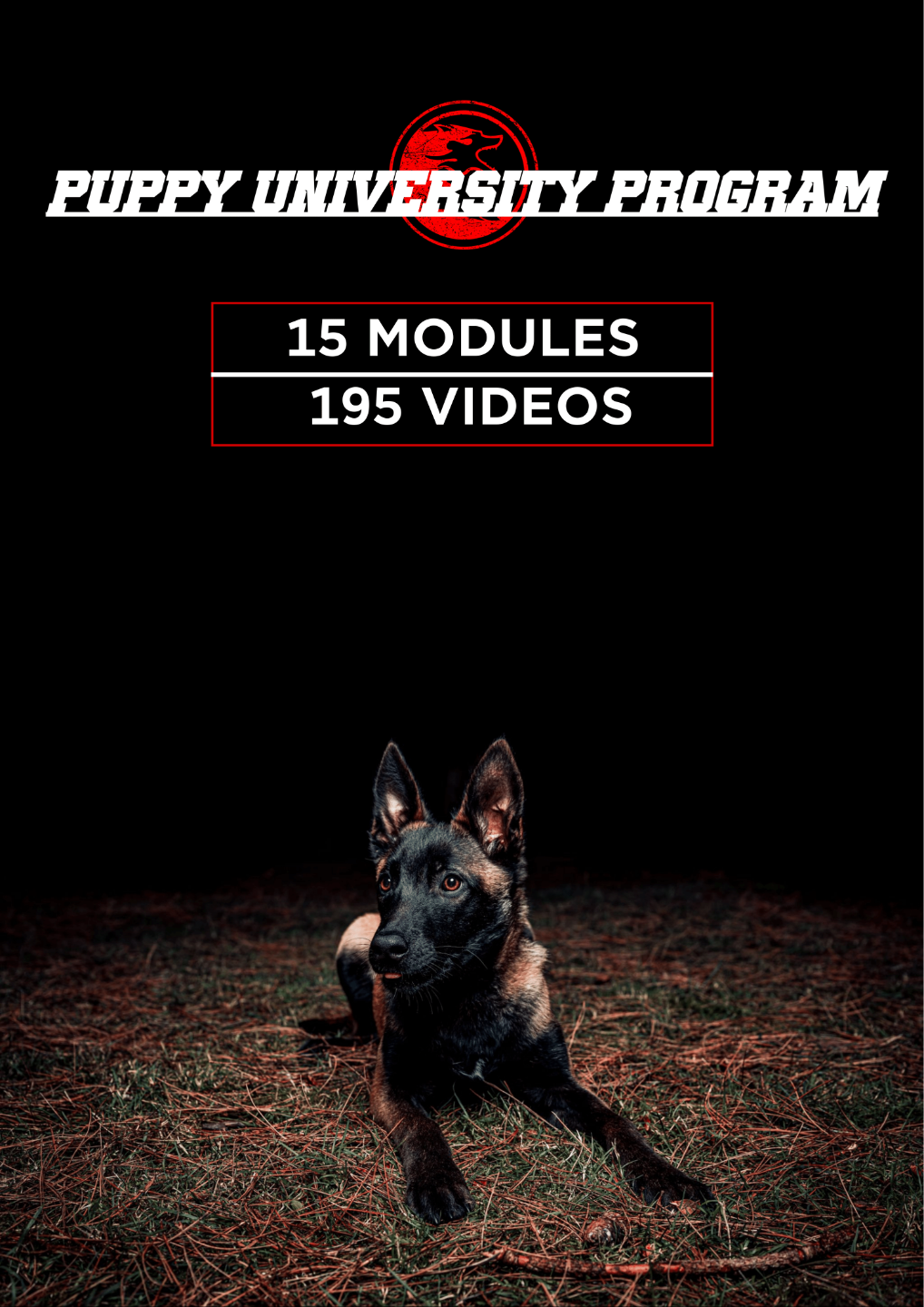 Puppy University Program Syllabus