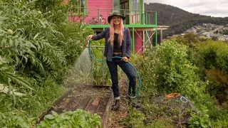 Efficient watering systems for organic vegetable gardens - Choose irrigation methods to keep plants healthy and disease-free naturally