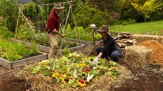 Hot composting for fast organic soil improvement - Create pathogen-free compost quickly for productive vegetable gardens