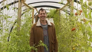 Guest gardener Grant demonstrating tomato care techniques - Maximize organic vegetable yields with proper plant support and maintenance