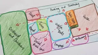 Creating bubble diagrams for organic garden layout - Position vegetable beds and composting systems using permaculture design methods