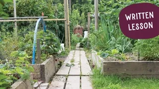 Planning organic vegetable bed layout with paths - Design productive growing spaces aligned with your sustainable gardening goals