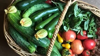 Permaculture principles illustrated in a productive organic vegetable garden - Understanding organic growing methods for sustainable home food production