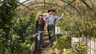 Wicking beds for water-efficient organic vegetable growing - Guest gardener Pema's self-watering system for thriving food gardens