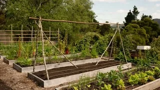 Building support structures for climbing vegetables - Simple trellises and stakes for tomatoes, beans and peas in organic gardens