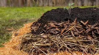No-dig organic gardening bed preparation - Build fertile vegetable beds with less effort using permaculture techniques