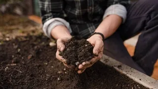 Hands holding rich, dark organic compost soil - Understanding soil biology and structure for thriving chemical-free vegetable gardens