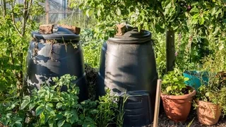 Cold composting kitchen scraps for organic gardens - Easy method to transform waste into rich soil for vegetable growing