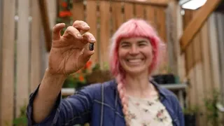 Direct sowing organic vegetable seeds in prepared soil - Master seed planting depths and protection for reliable germination