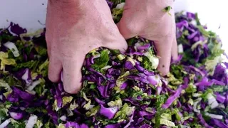 Preserving organic vegetable harvest through fermentation - Make homegrown produce last year-round with traditional preservation methods