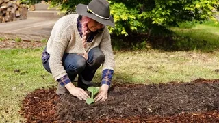 Building productive in-ground organic vegetable beds - Sheet mulching and double-dig methods for sustainable food growing
