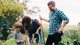 Planning who your organic vegetable garden serves - Right-size your sustainable garden design to match time, budget and family needs