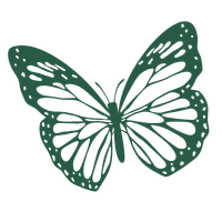 Link to Transforming Anxiety Course landing page