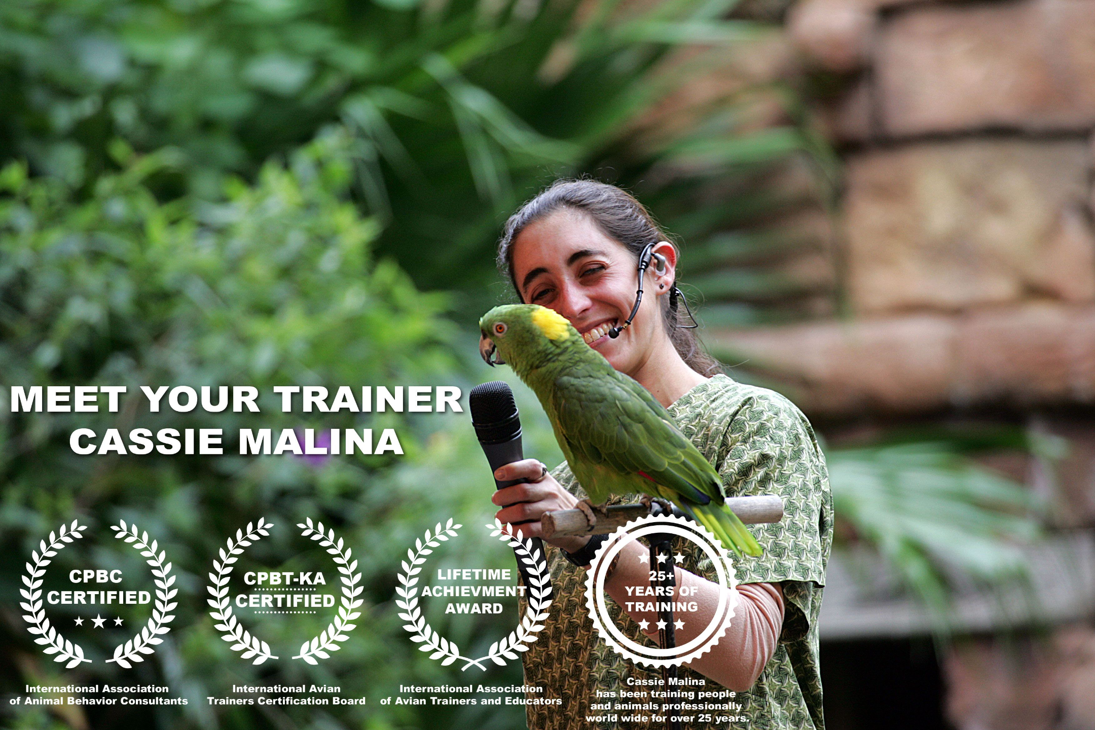 Parrot training expert training