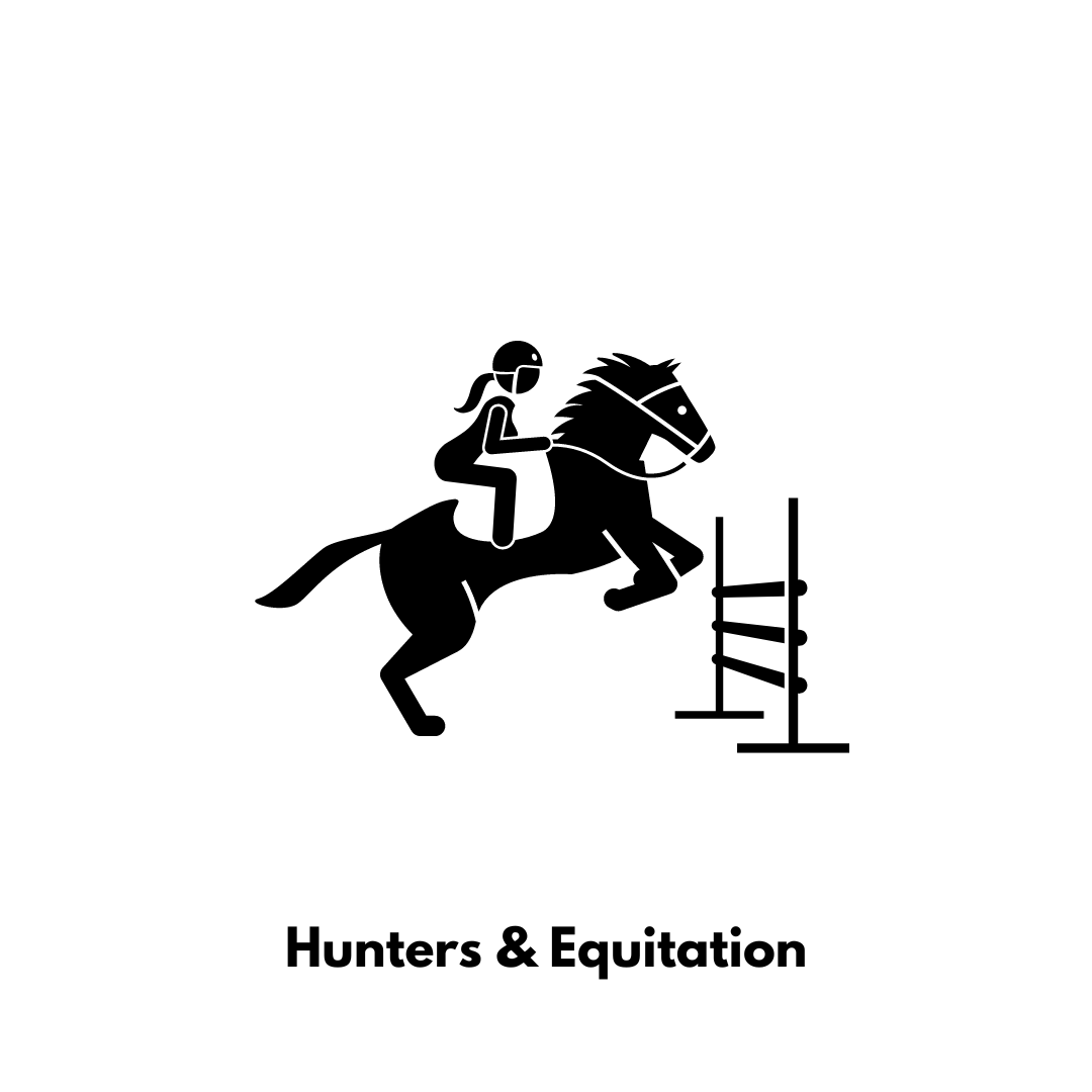 Hunters_Equitation