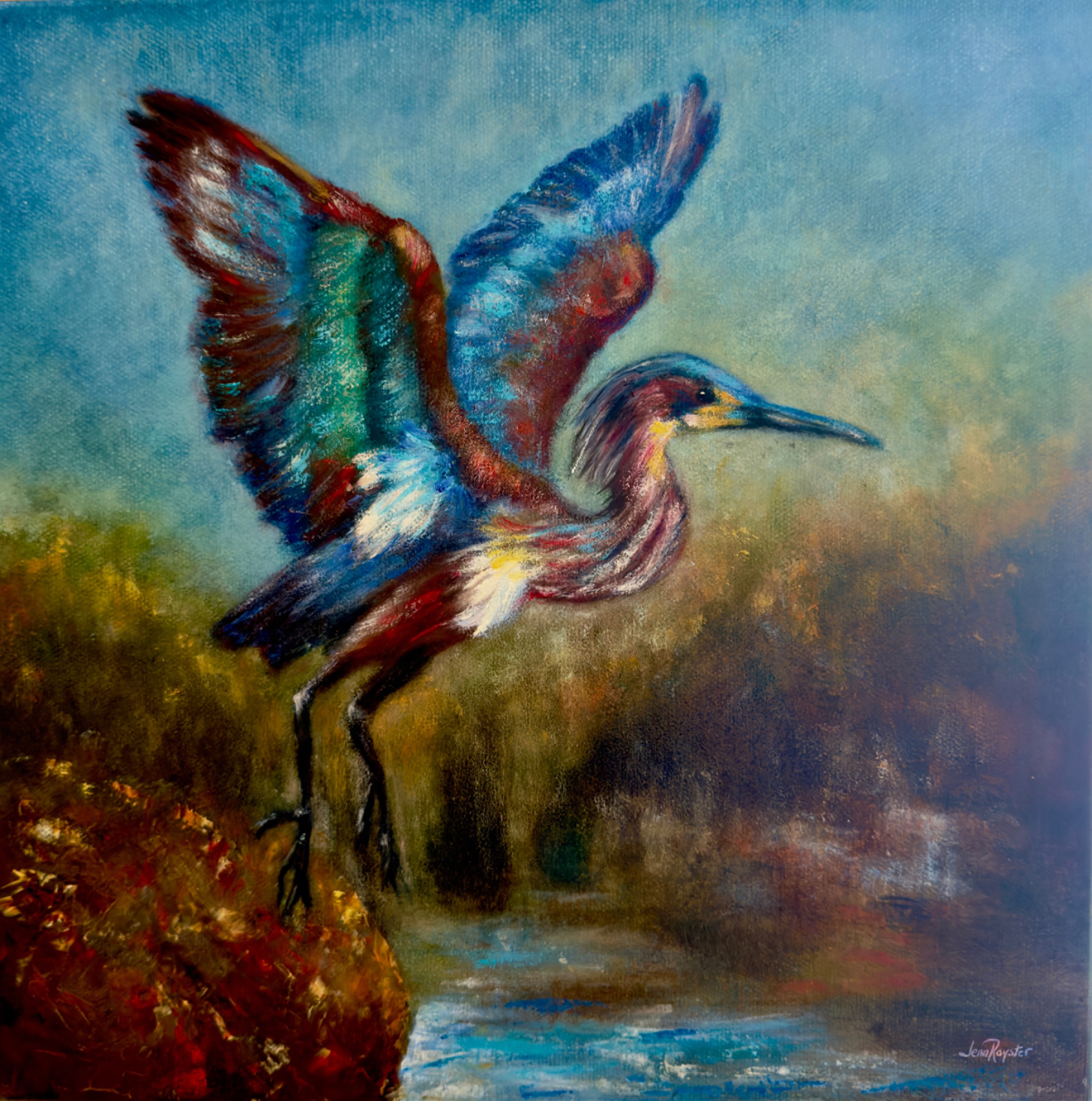 Costa Rican heron in flight over water, 12x12, oil with cold wax on canvas, expressive impressionist coastal wildlife painting by Jenn Royster