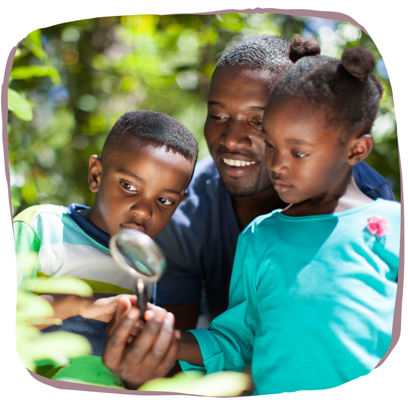 Homeschool Curriculum Origins Curriculum