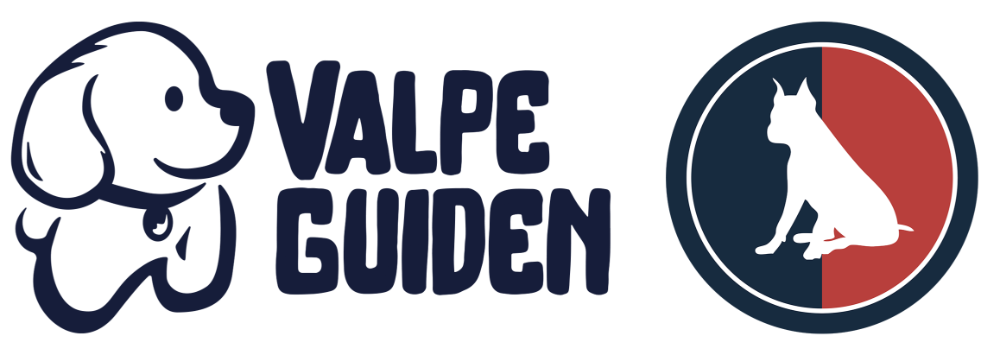 Header Logo