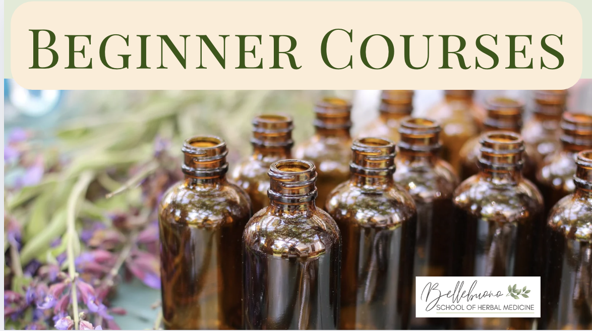 herbal medicine catalog