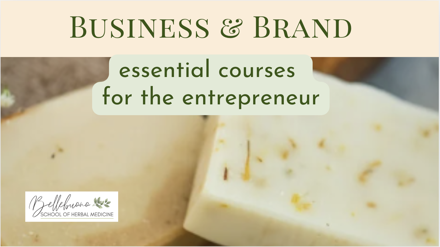 herbal medicine catalog