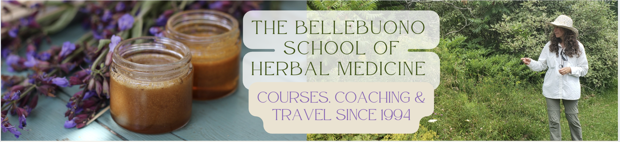 herbal medicine online courses