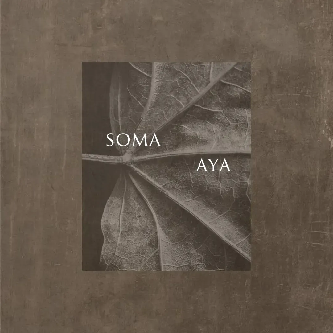 Somaya Collective values