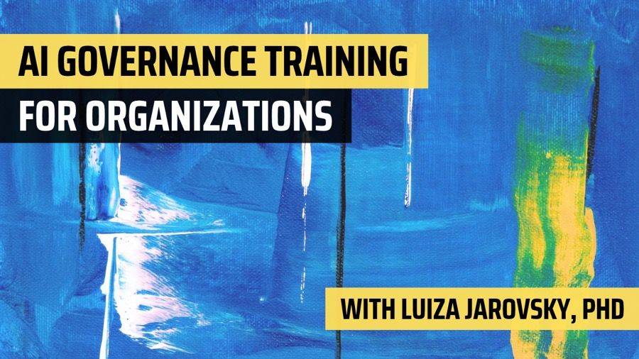 AI Governance Training for Organizations