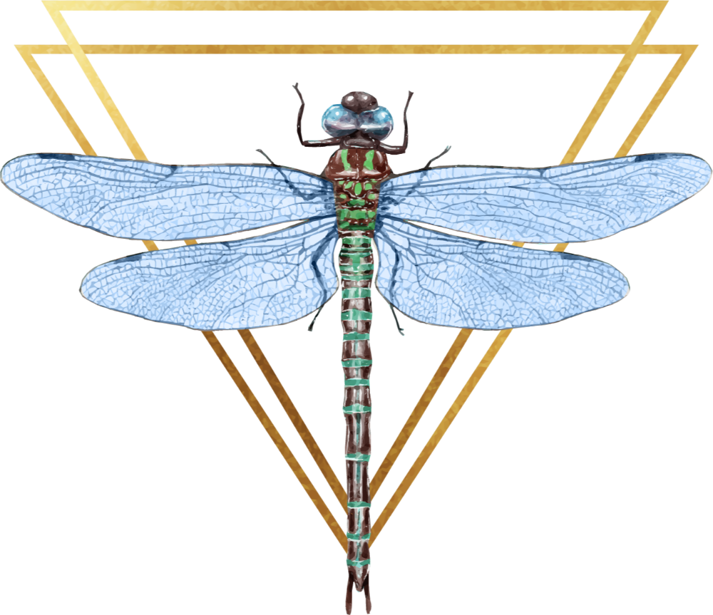 Institute of Quantum Frequency