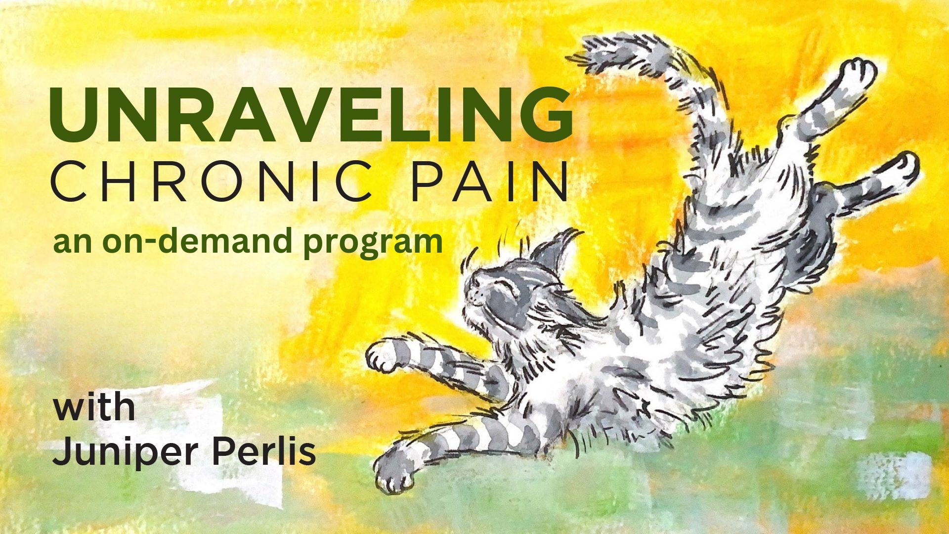 Happy Maine Coon cat stretching against a yellow and green background as an illustration of online Feldenkrais Method lessons for Unraveling Chronic Pain