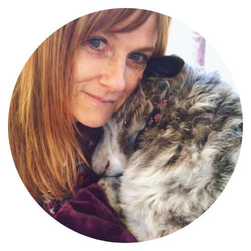 Izzy Sue Seely review