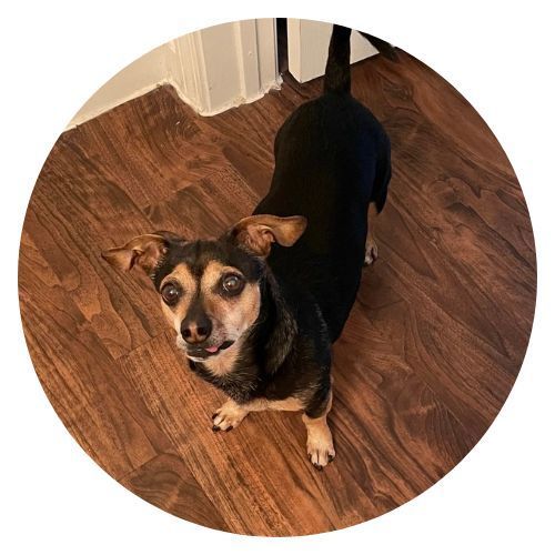 Orry Kristen Evon review