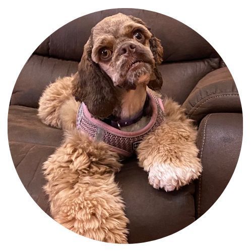 Betsy Ross Lydia Review