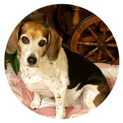 Maggie Karen Johnson Review