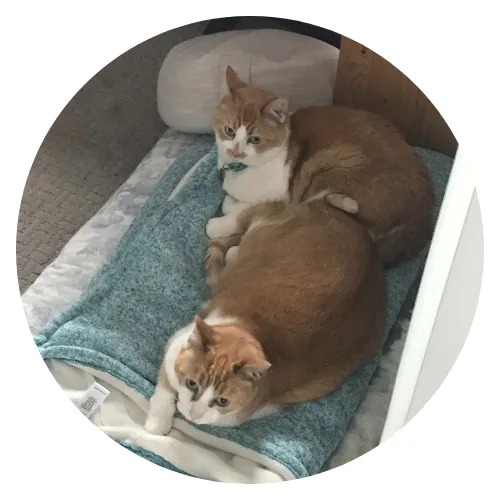 Melanie Lindholm Keiko Sunny review