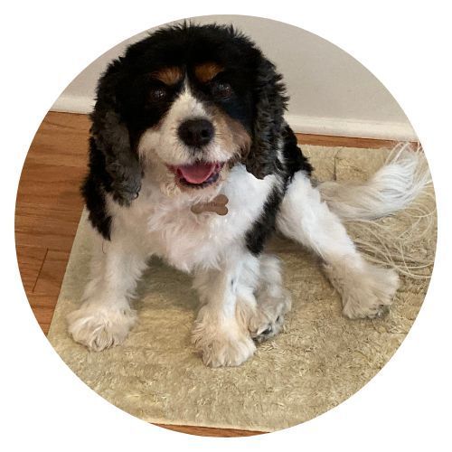 Channy Lynn Milo review