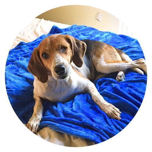 Gracey Betty Holland review