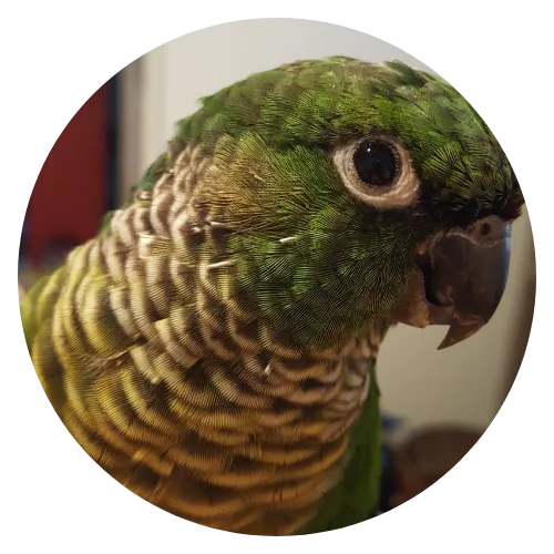 Meaux Kimberly Lamaze review