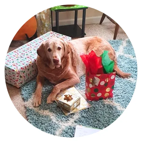 Julie Adams Teddy Review2