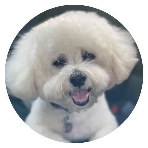 Jelly Marlu Harris review