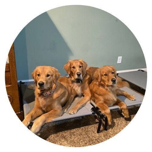 Team Golden Lemonade Jo Dunham review