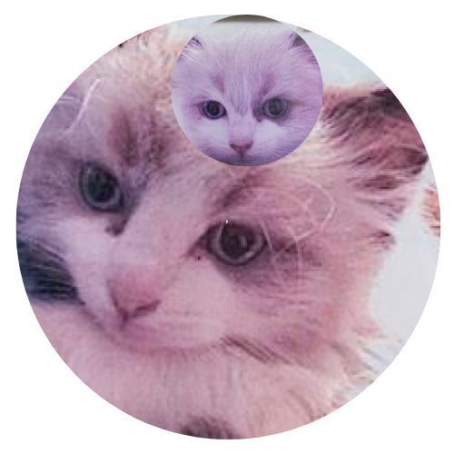 Kiki Romeo Betsy Bass Review